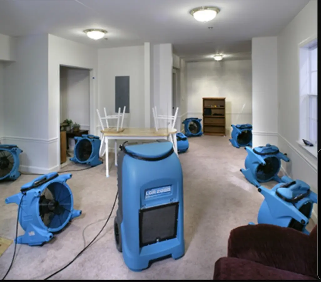 Air movers and dehumidifier setup for Water Extraction & Removal in Bellingham